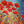 Load image into Gallery viewer, Dancing Poppies