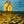 Load image into Gallery viewer, Field of Gold