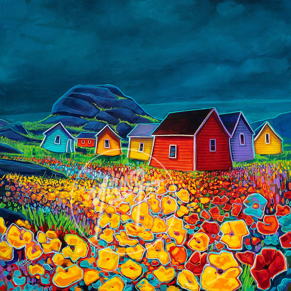 Flowers and Sheds