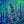 Load image into Gallery viewer, Lupins