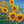 Load image into Gallery viewer, Sunflowers