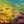 Load image into Gallery viewer, Water Colours #2