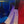 Load image into Gallery viewer, Acadian