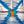 Load image into Gallery viewer, bluenose