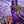 Load image into Gallery viewer, signal-hill