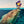 Load image into Gallery viewer, The Cod
