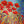 Load image into Gallery viewer, Dancing Poppies
