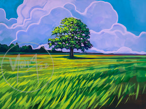 Shubenacadie Tree painting by Adam Young